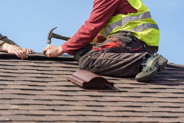 Best Metal Roofing Contractor  in Waynesboro, MS