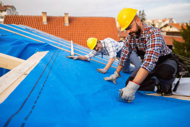 Best Flat Roof Repair Services  in Waynesboro, MS