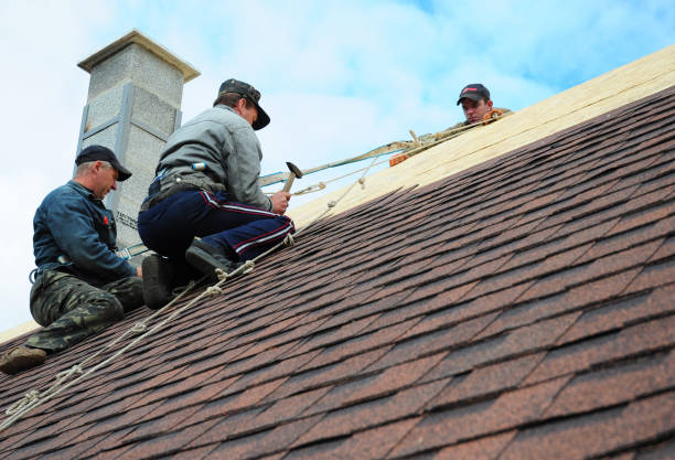 Residential Roof Replacement in Waynesboro, MS