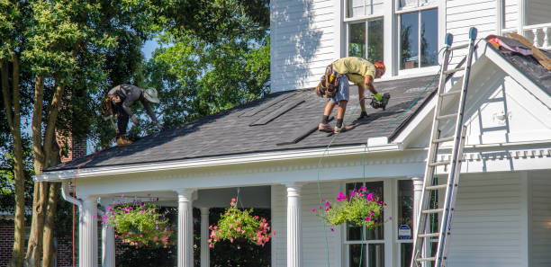 Professional Roofing Contractor in Waynesboro, MS